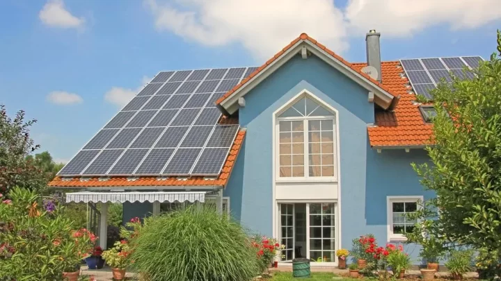 Top 5 Eco-Friendly Roofing Options for Sustainable Homes